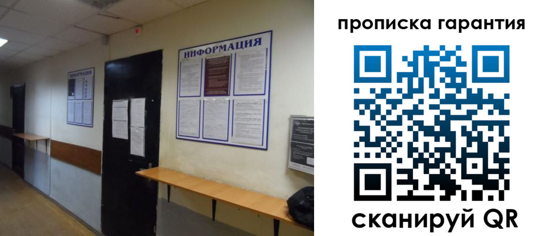 прописка законно в Ярославле
